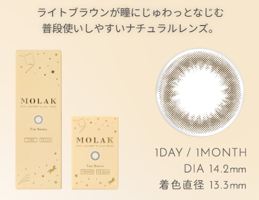 MOLAK ティントブラウン