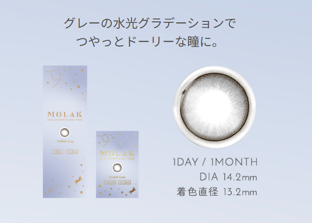 MOLAK ドーリッシュグレー