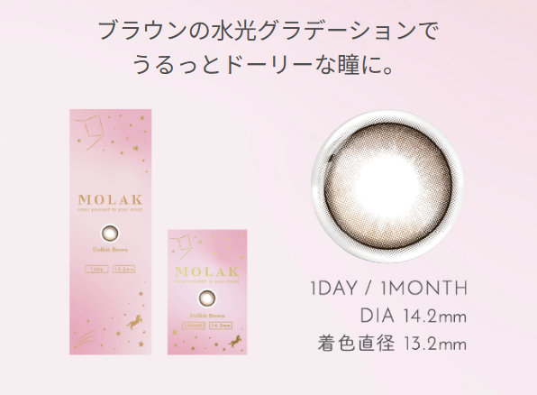 MOLAK ドーリッシュブラウン